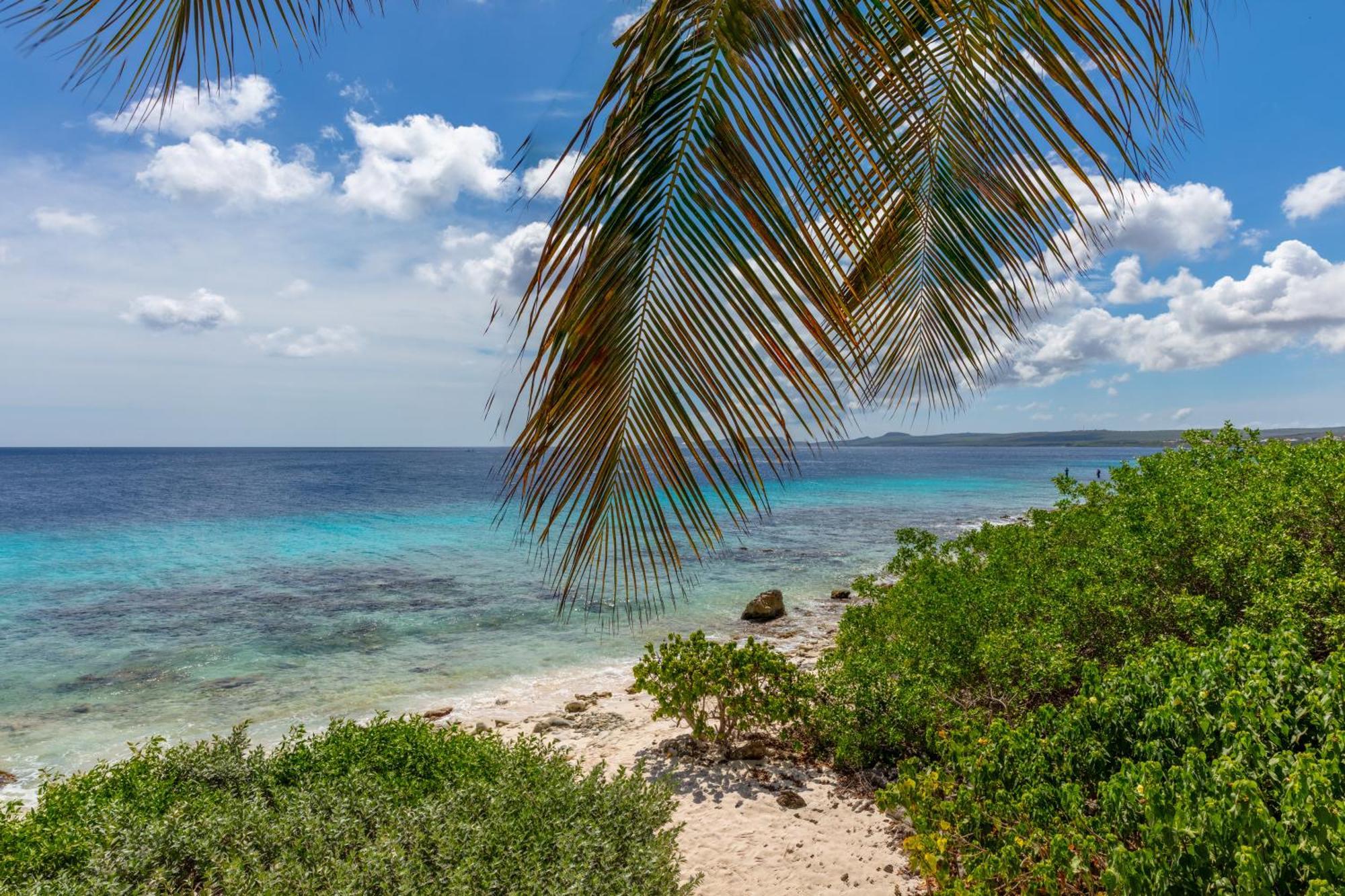 One Ocean Boutique Apartments & Suites Bonaire 크랄렌데이크 외부 사진