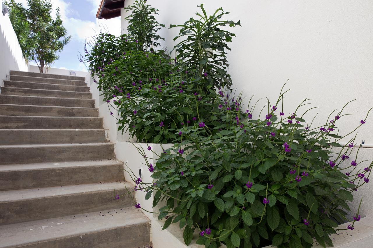 One Ocean Boutique Apartments & Suites Bonaire 크랄렌데이크 외부 사진