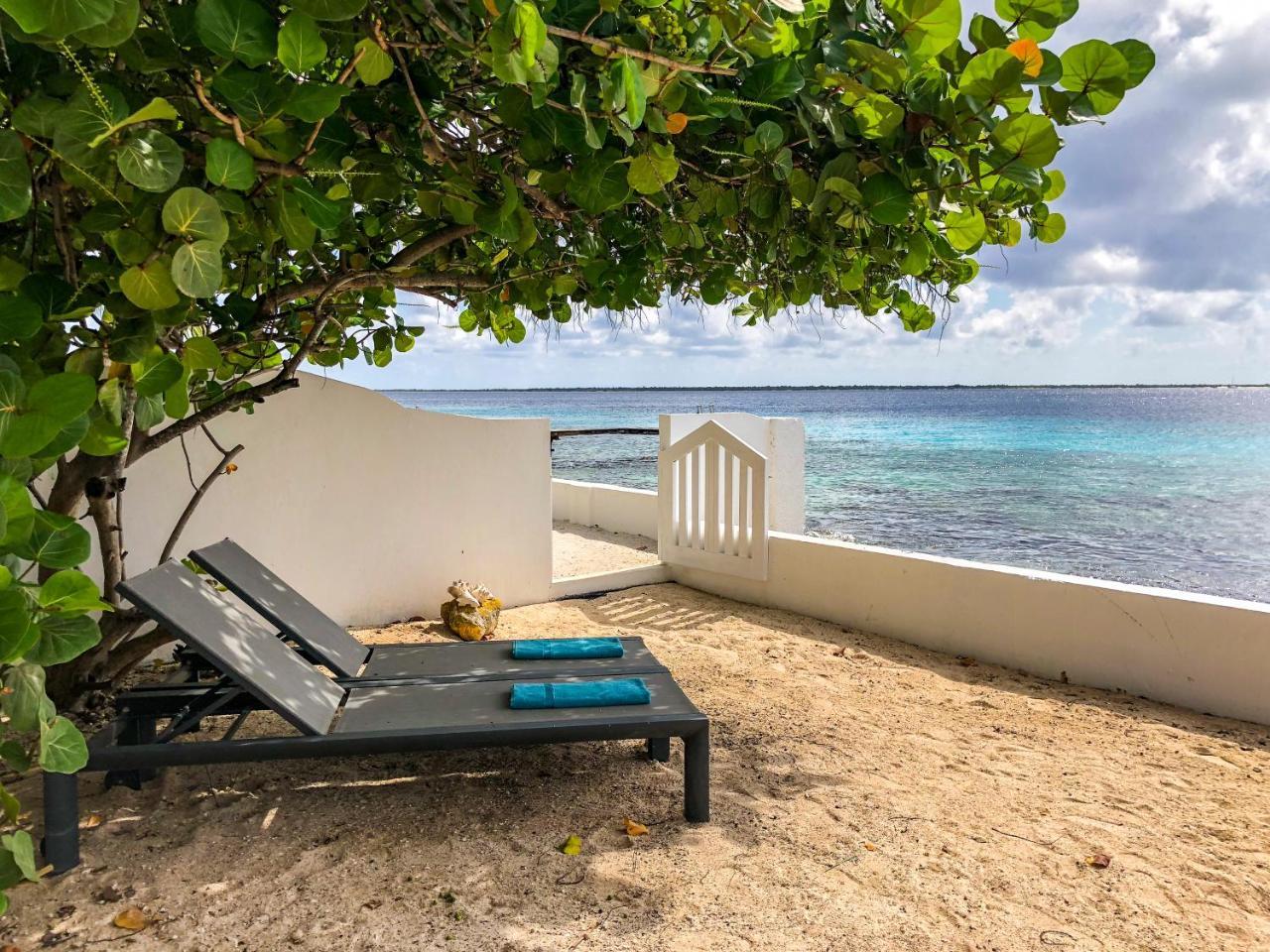 One Ocean Boutique Apartments & Suites Bonaire 크랄렌데이크 외부 사진